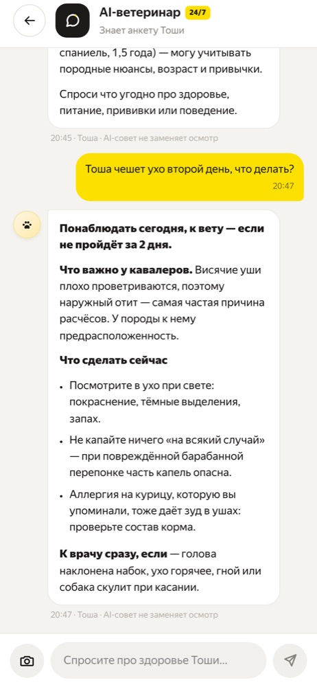 Экран AI-ветеринара: разговор про расчёсанное ухо с разбором по породе